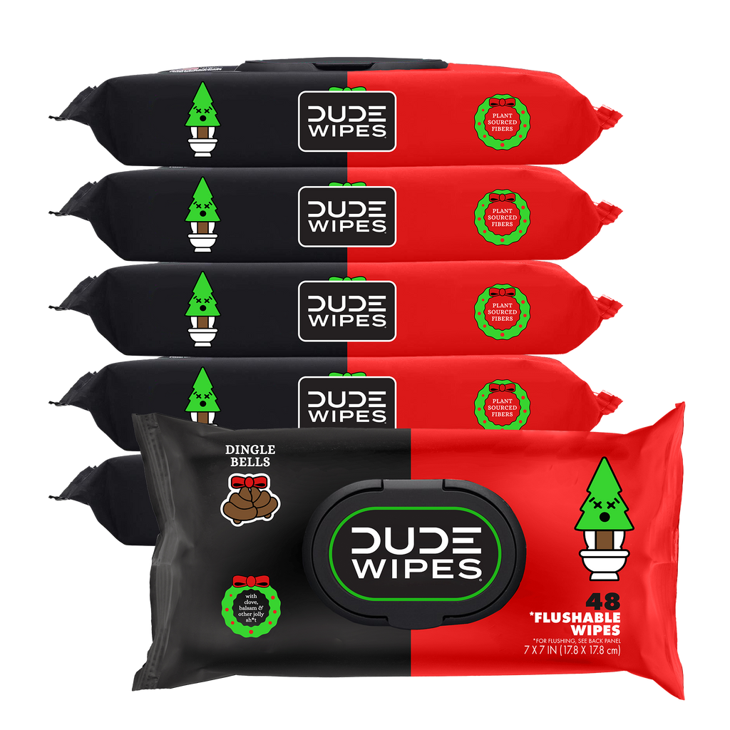 DUDE WIPES